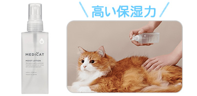モイストローション