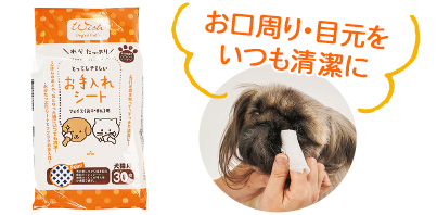 ウィッシュ とってもやさしいお手入れシート フェイス用