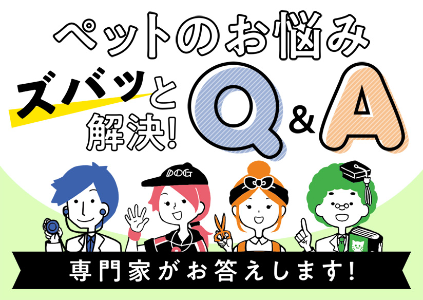 ペットのお悩みズバッと解決！Q&A