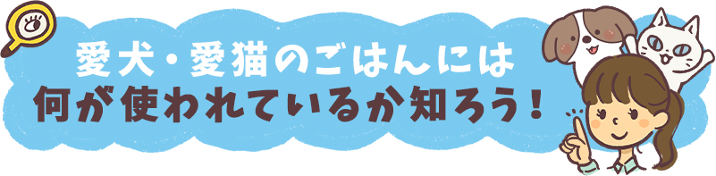 愛犬・愛猫のごはんには何が使われているのか知ろう！