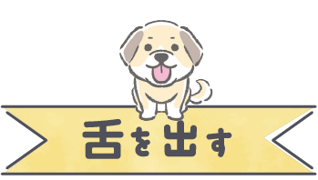 舌を出す