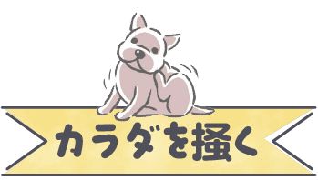 カラダを掻く