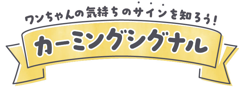 ワンちゃんの気持ちのサインを知ろう！カーミングシグナル