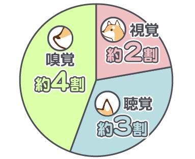 ワンちゃんが外部から得る情報の割合 視覚約2割、聴覚約3割、嗅覚約4割