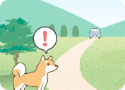 遠くの音を聞く犬