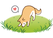 においをかぐ犬