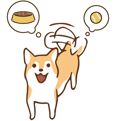 ワンちゃんは「今、この瞬間」を大切にする