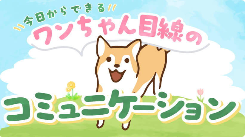 今日からできる！ワンちゃん目線のコミュニケーション