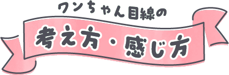 ワンちゃん目線の考え方・感じ方