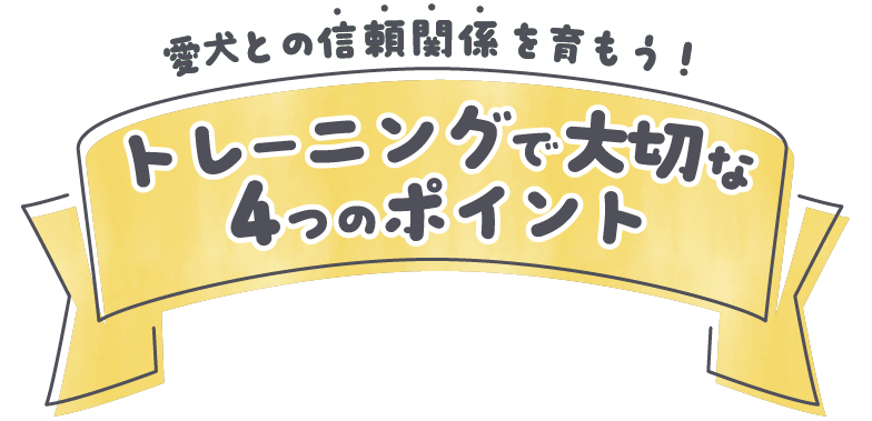 愛犬との信頼関係を育もう!トレーニングで大切な4つのポイント