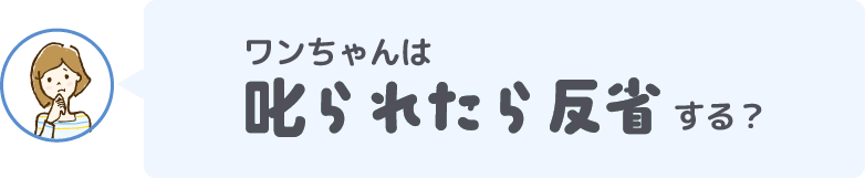 ワンちゃんは叱られたら反省する?