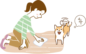 構ってもらえると思っている犬