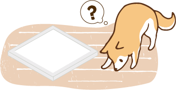 トイレの場所が覚えられていない犬