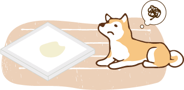 トイレが汚れている犬
