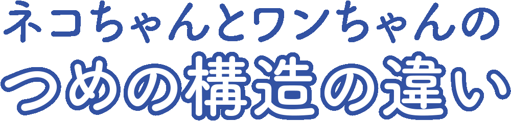 ネコちゃんとワンちゃんのつめの構造の違い