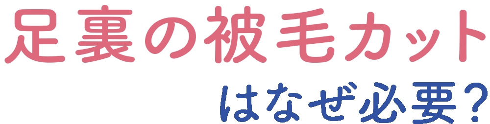 足裏の被毛カットはなぜ必要？