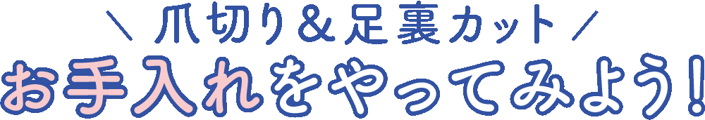 お手入れをやってみよう！