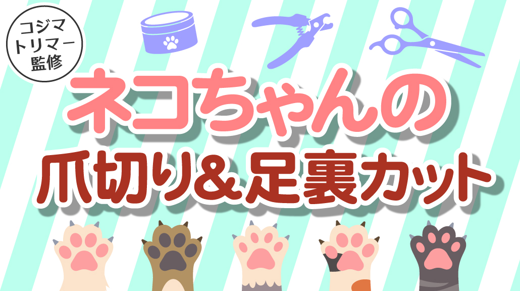 ネコちゃんの 爪切り＆足裏カット