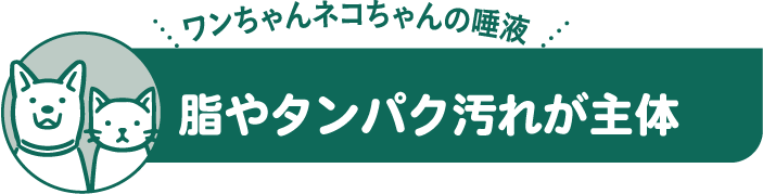 脂やタンパク汚れが主体