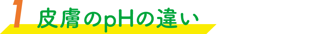 皮膚のpHの違い