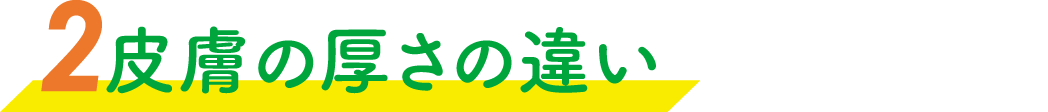 皮膚の厚さの違い
