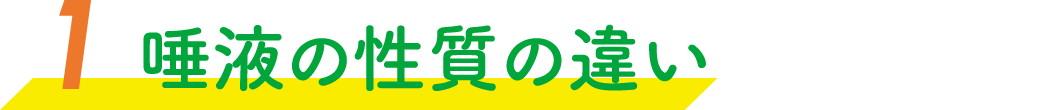 唾液の性質の違い