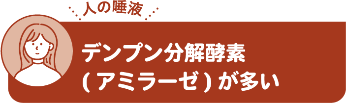 デンプン分解酵素（アミラーゼ）が多い