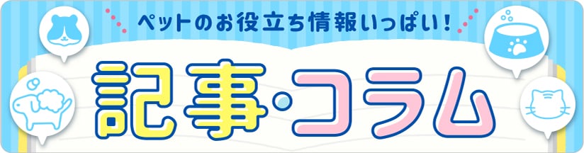 お役立ち情報がいっぱい！ 記事・コラム