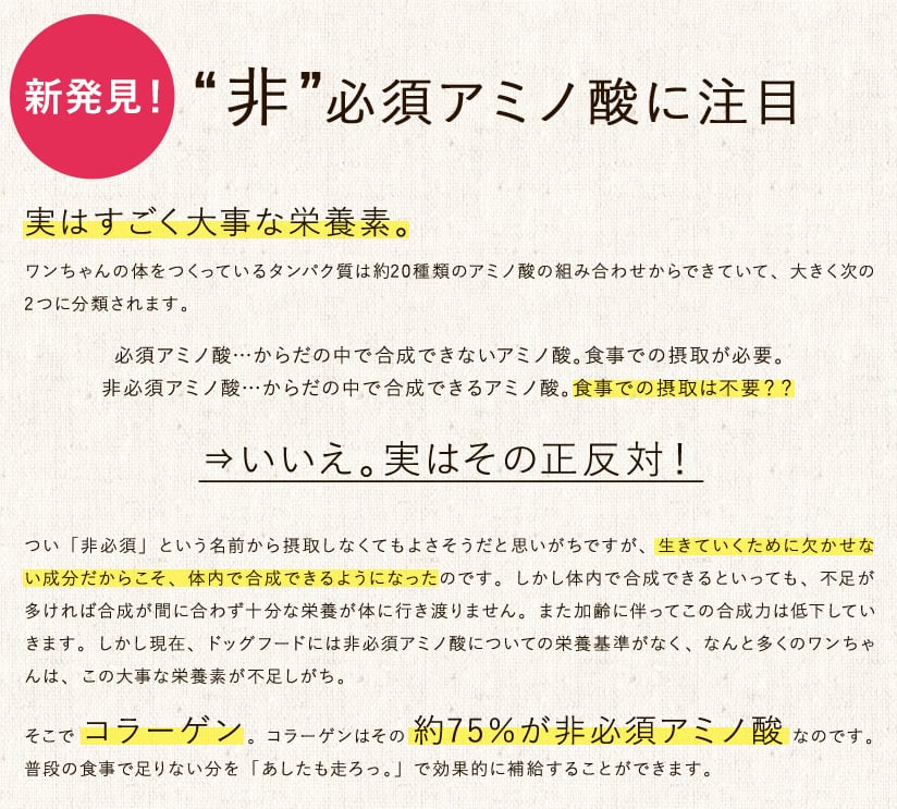 新発見！“非”必須アミノ酸に注目