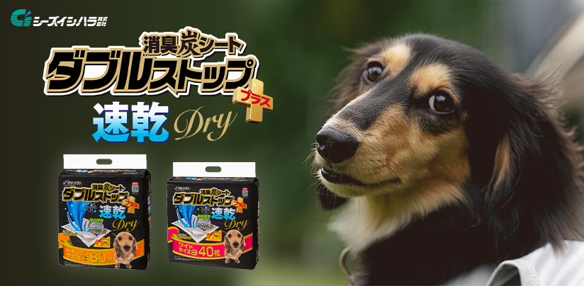 クリーンワン 消臭炭シート ダブルストッププラス 速乾ドライ