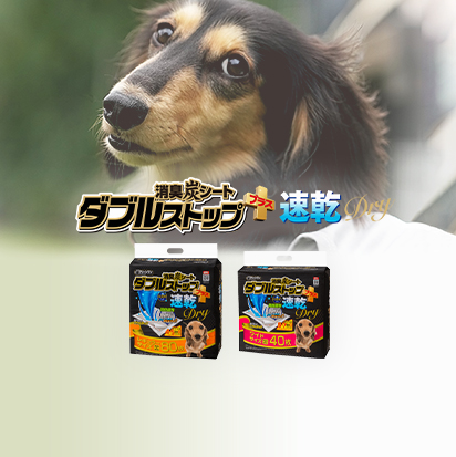 クリーンワン 消臭炭シート ダブルストッププラス 速乾ドライ