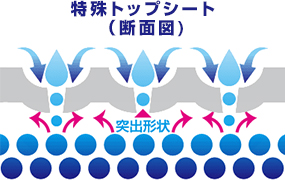 特殊トップシート（断面図）