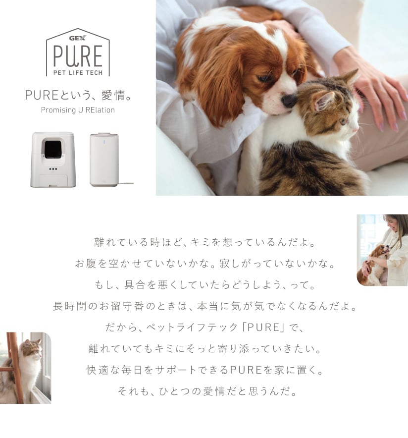 GEXPURE PUREという、愛情。