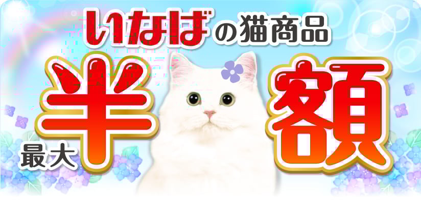 いなばの猫商品 最大半額 今月の半額はコチラ チャオ 旨みスープパウチ 40g