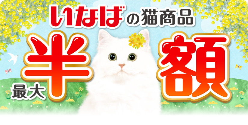 いなばの猫商品 最大半額 今月の半額はコチラ チャオ ささみビスク パウチ 40g