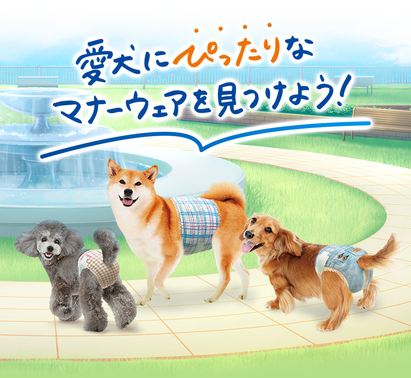 愛犬にぴったりなマナーウェアを見つけよう！
