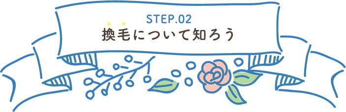 STEP.02 換毛について知ろう