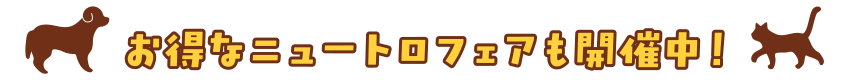 お得なニュートロフェアも開催中！