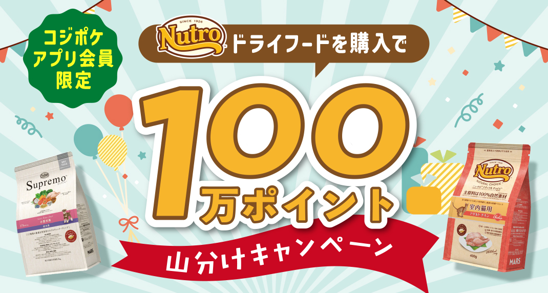 コジポケアプリ会員限定 ニュートロ™ドライフードを購入で100万ポイント山分けキャンペーン