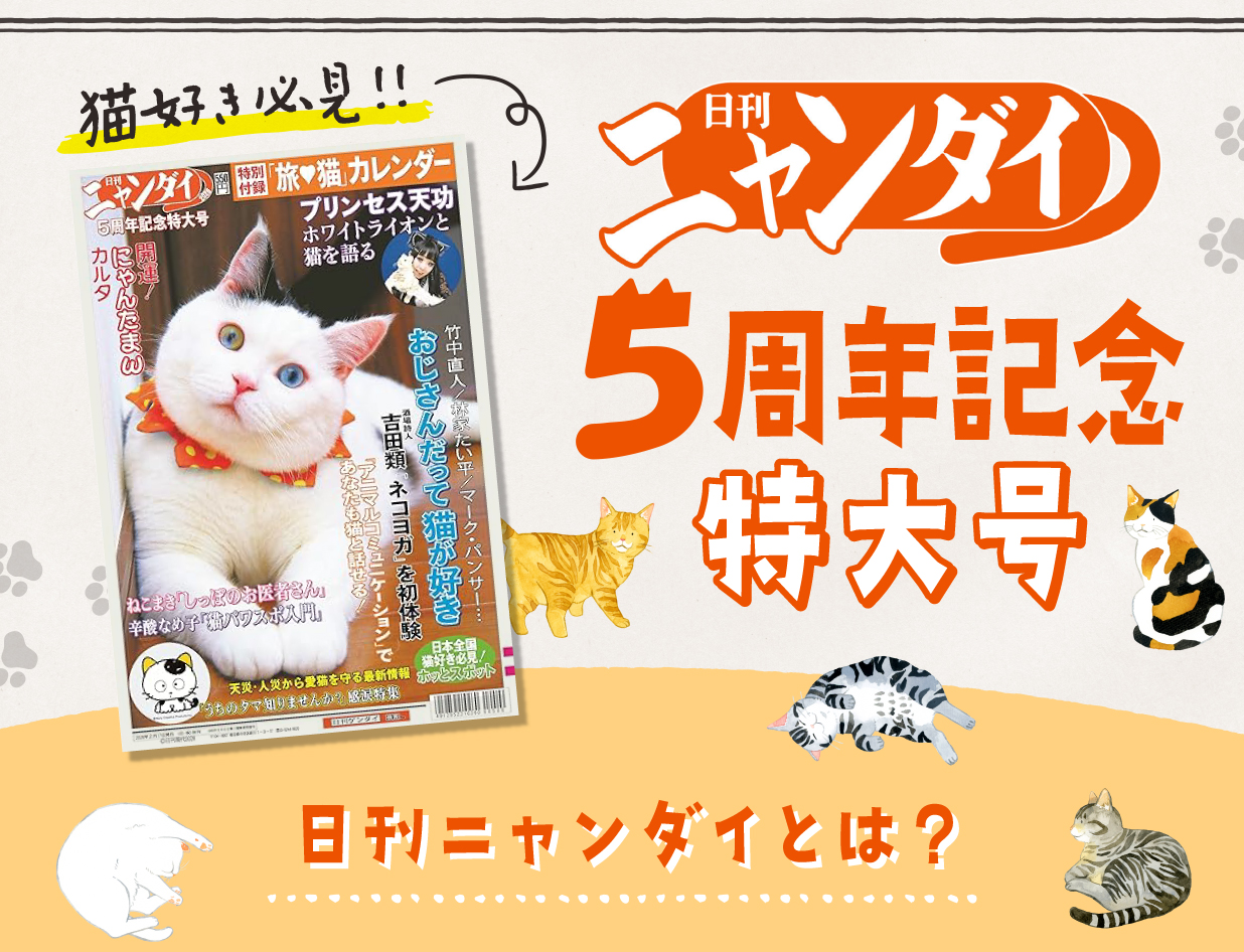 日刊ニャンダイ5周年記念特大号