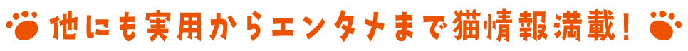 他にも実用からエンタメまで猫情報満載！