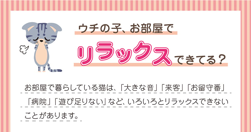 ウチの子、お部屋でリラックスできてる？