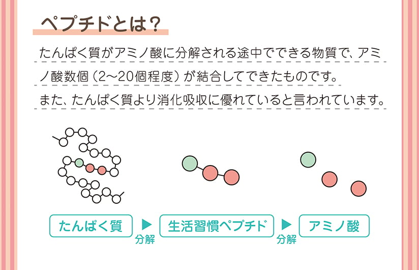 ペプチドとは？