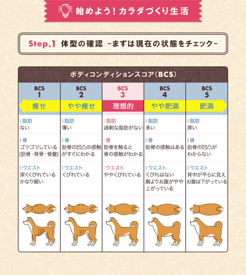 Step.1 体型の確認-まずは現在の状態をチェック-