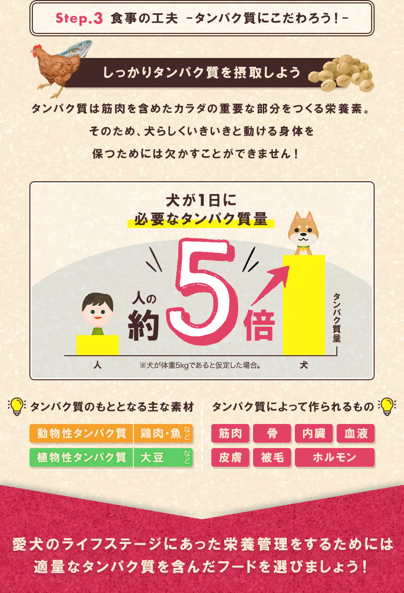 Step.3 食事の工夫-タンパク質にこだわろう！-