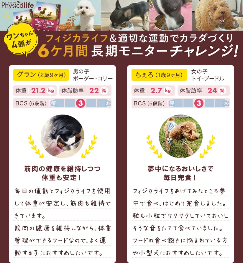 フィジカライフ＆適切な運動でカラダづくり ワンちゃん4頭が6ヶ月間長期モニターチャレンジ！