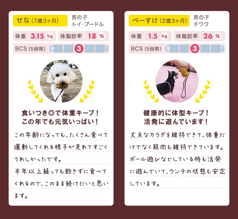 フィジカライフ＆適切な運動でカラダづくり ワンちゃん4頭が6ヶ月間長期モニターチャレンジ！