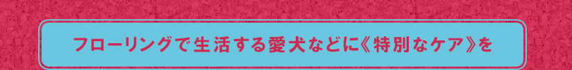 フローリングで生活する愛犬などに特別なケアを