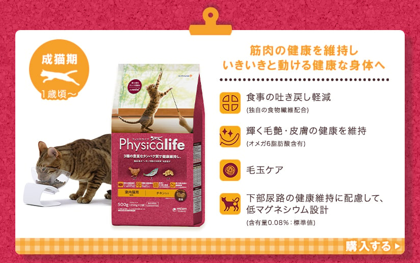 Physicalife(フィジカライフ) 成猫期 1歳頃～