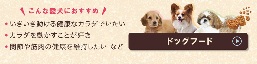 ドッグフード